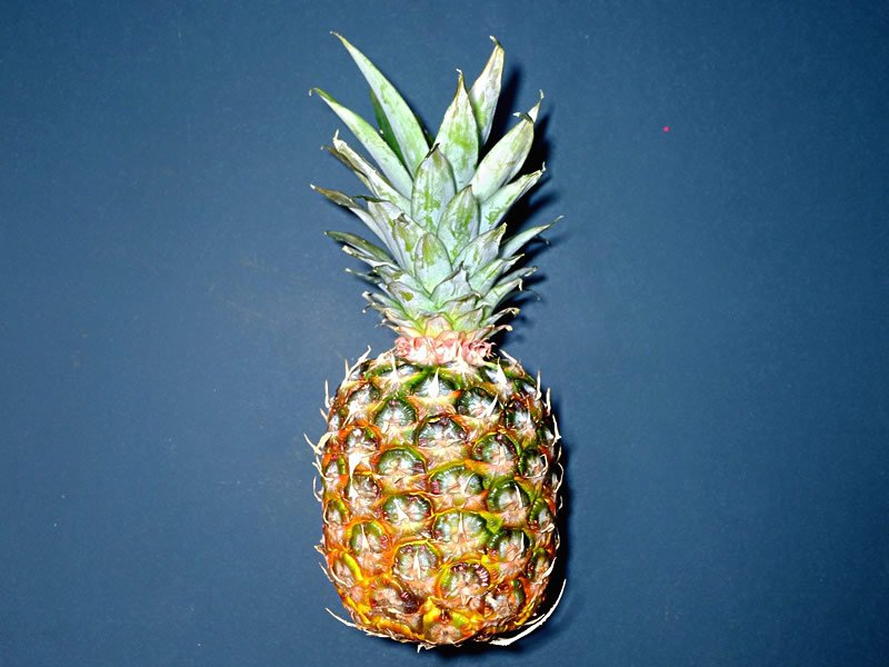 pineapple pineapple
